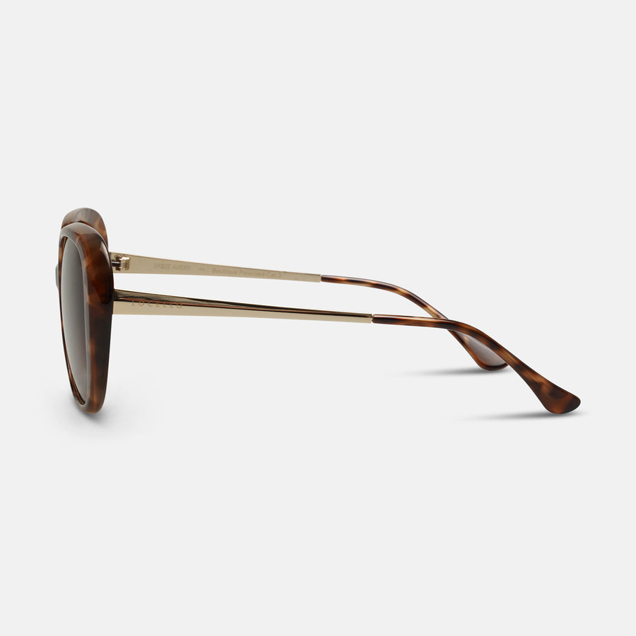 AVERY - Tortoiseshell I Brown